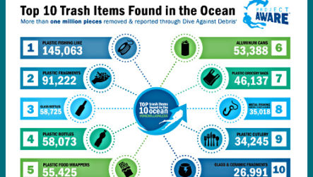 Состав морского мусора